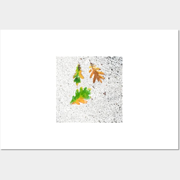 Rainy Leaves on White Snow Ice Terrazzo Background Wall Art by djrunnels